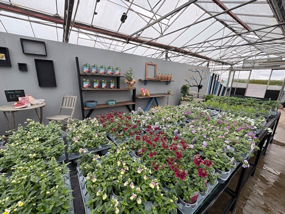 Benston Nursery, Mauchline For Sale - tempImagenzoD8U.jpg