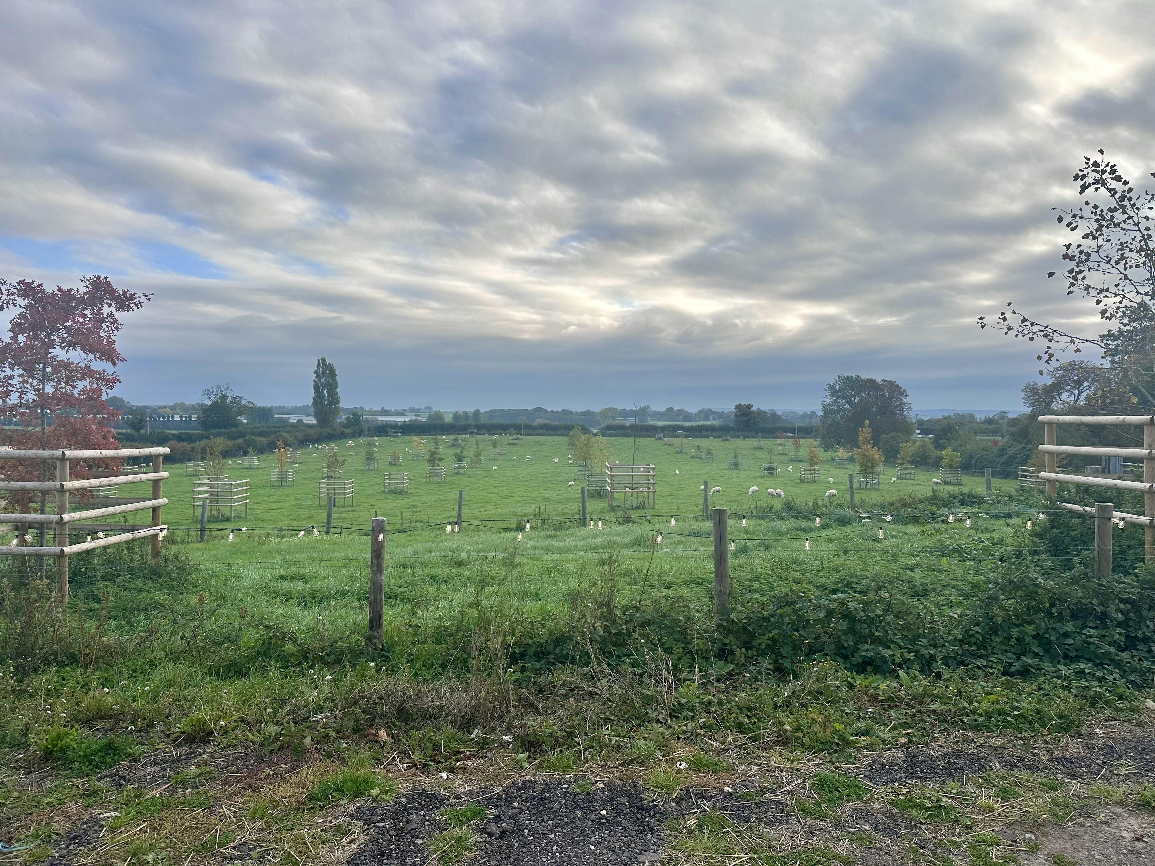 Retail / Business Units, Lopemede Farm, Long Crendon, Thame, Industrial / Other / Retail To Let - IMG_8939.jpeg