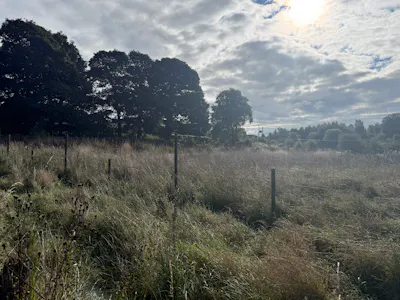 Land by Banton Road, By Banton Mill, Near Kilsyth, Agriculture Land To Let - 20260909_084547482_iOS.jpg