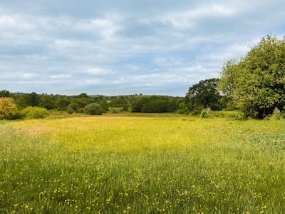 Land at Caeau Ty Mawr, Llangasty, Brecon, Land To Let - 4.jpg