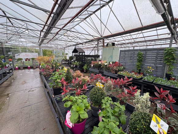 Benston Nursery, Mauchline For Sale - tempImagenwJYk0.jpg