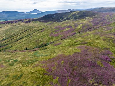 Land by Brodick, Brodick, Agriculture Land / Development / Investment / Land For Sale - Image 10
