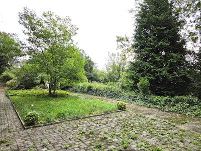 Former St. Vincent's Church, Sundays Well Road, Cork, Alternative Use Opportunity / D1 (Non Residential Institutions) / D2 (Assembly and Leisure) / Development / Commercial Development / Development Land / Development Potential For Sale - garden 3.jpg