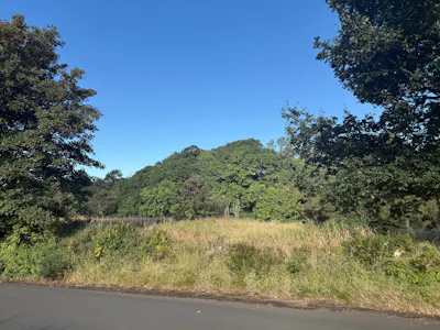 Land by Banton Road, By Banton Mill, Near Kilsyth, Agriculture Land To Let - 20260909_084552116_iOS.jpg