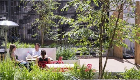 Elm Yard, 10-16 Elm Street, London, Office To Let - Garden.jpg