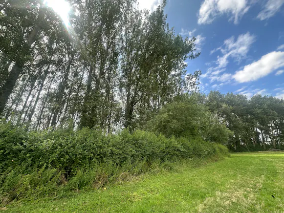 Woodland at Ickford Road, Ickford Road, Ickford, Land / Other For Sale - 3.jpeg