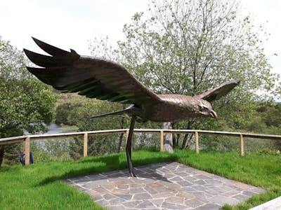 Bwlch Nant Yr Arian, Aberystwyth, Leisure To Let - 43747_bwlch nant yr arian_natural resources wales_no restrictions_n_a.jpg