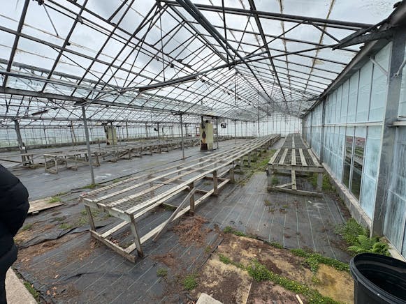 Benston Nursery, Mauchline For Sale - tempImagex60urs.jpg
