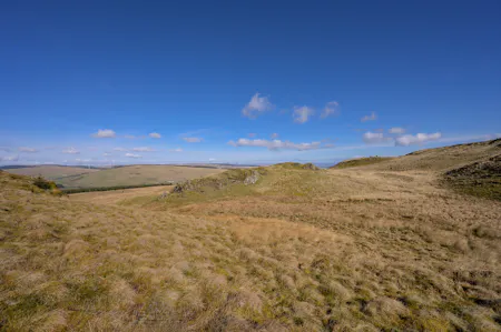 Land at Darrach Hill, Denny, Agriculture Land / Environmental / Farm / Land For Sale - DarrachHill-45.jpg