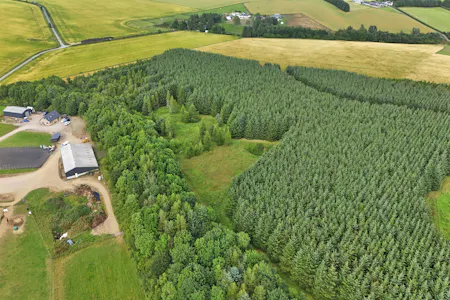 Land at Upper Gariochsford, Upper Gariochsford, Inverurie, Agriculture Land For Sale - Land at Upper Gariochsford-010.JPG