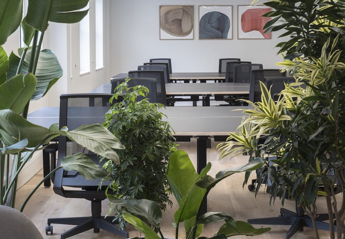 45-49 Leather Lane, London, Office To Let - d8fdd8dbf9f2fcad2cd7b4cc8902c19bMC28017848HR.jpg