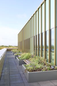 One Granta, Granta Park, Cambridge, Healthcare / Hi Tech / Lab / Office To Let - Terrace photo.jpg
