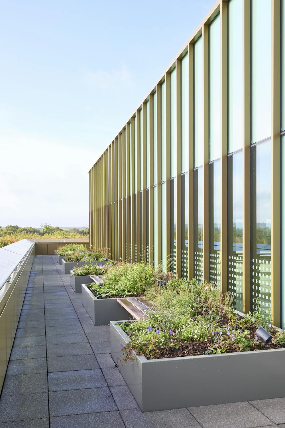 One Granta, Granta Park, Cambridge, Healthcare / Hi Tech / Lab / Office To Let - Terrace photo.jpg