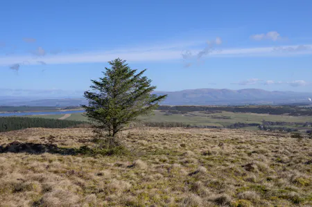 Land at Darrach Hill, Denny, Agriculture Land / Environmental / Farm / Land For Sale - DarrachHill-31.jpg