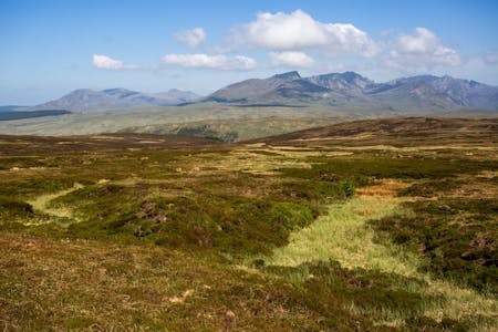 Land by Brodick, Brodick, Agriculture Land / Development / Investment / Land For Sale - Image 12