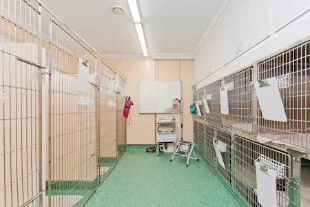 Avondale House, Strathaven For Sale - Kennels.jpg