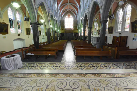 Former St. Vincent's Church, Sundays Well Road, Cork, Alternative Use Opportunity / D1 (Non Residential Institutions) / D2 (Assembly and Leisure) / Development / Commercial Development / Development Land / Development Potential For Sale - TED_6303.jpg