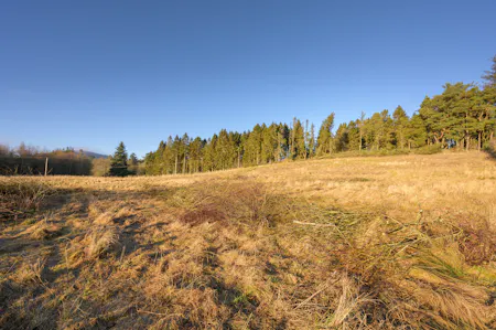 Land in Dolphinton, Carmaben Brae, West Linton, Agriculture Land / Development / Development Land / Development Potential / Residential Development / Development Site / Land / Land (Green Field) For Sale - North west