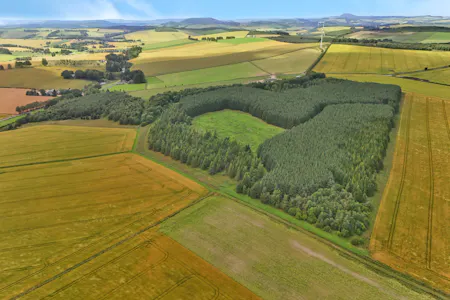 Land at Upper Gariochsford, Upper Gariochsford, Inverurie, Agriculture Land For Sale - Land at Upper Gariochsford-004.JPG