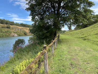 Den of Ogil Reservoir, By Glenquiech, Glenogil, Investment / Land For Sale - 20260820_103552935_iOS.jpg
