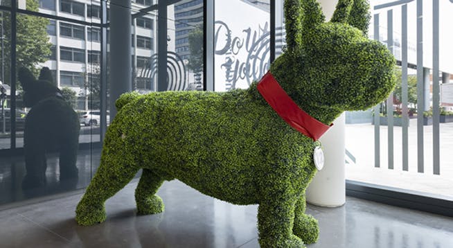 12 Hammersmith Grove, 12 Hammersmith Grove, Hammersmith, Office To Let - 12 Hammersmith Grove London W6 Office to let West London dog sculpture.jpg