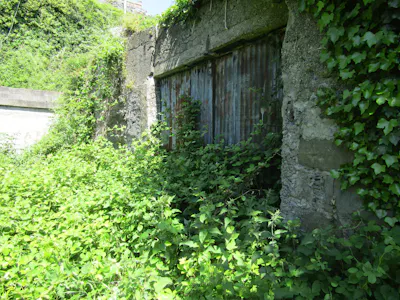 Circa 0.45 Hectare Site, Sundays Well Road, Cork, Land For Sale - Rope walk entrance.JPG