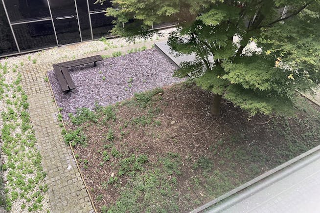 Mulberry Building, Mulberry, Swindon, Office To Let - 20240819 092604.jpg Mulberry Building, Mulberry, Swindon, Office To Let - 20240819 092604.jpg