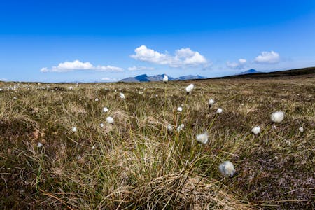 Land by Brodick, Brodick, Agriculture Land / Development / Investment / Land For Sale - Image 11