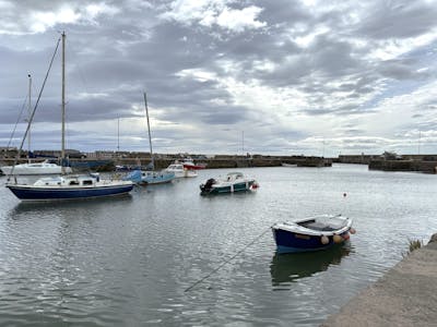 Harbour Bar, William Street, Gourdon, Leisure For Sale - Image 9