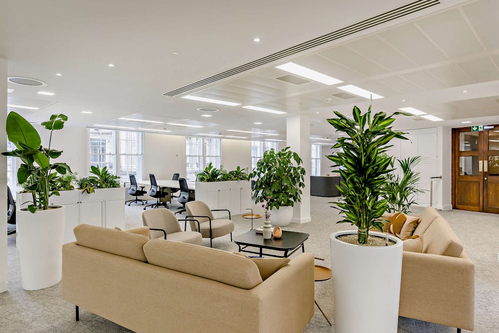 3 Lombard Street - Brochure picture 4.jpg