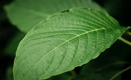 Building Name, 125, London, Office / Office To Let - Stock Image - Leaf.jpg