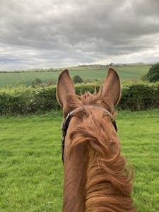 Land Parcels, The Old Racecourse, Lewes, Residential For Sale - IMG_0914.JPG