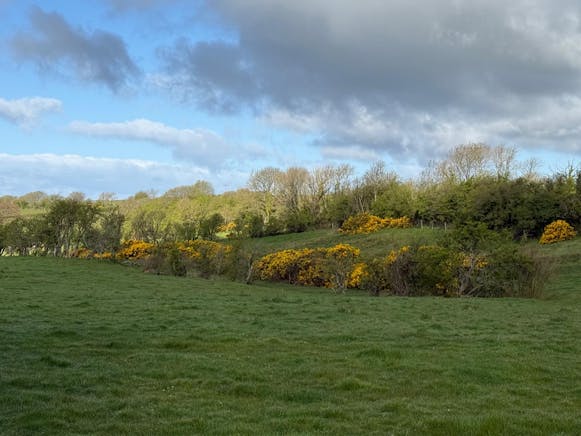 Benston Nursery, Mauchline For Sale - 1a6ab447-24b8-47eb-84c4-1ac10a821f16.JPG