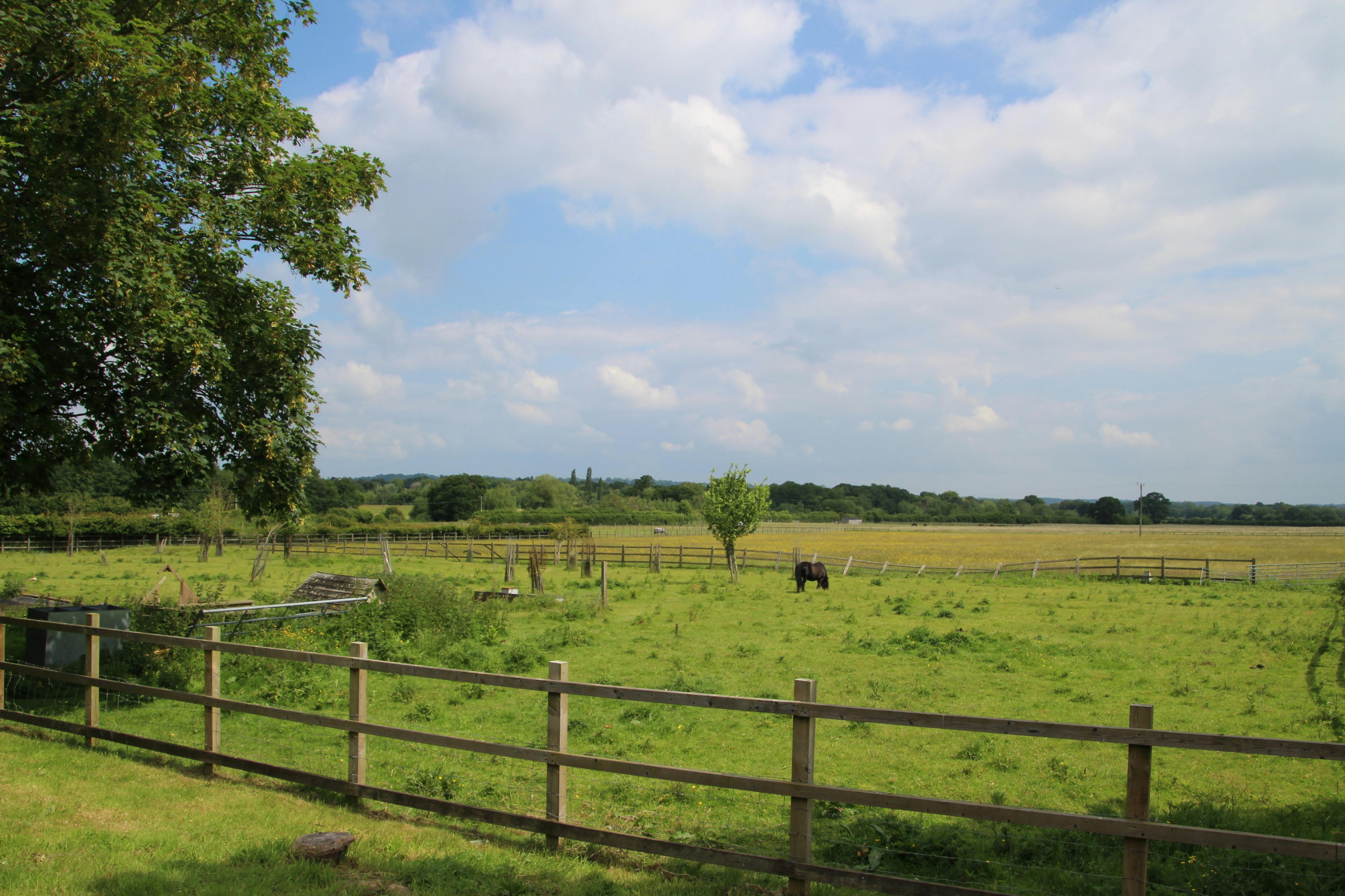 Oakhanger Business Park, Bordon, Offices To Let - IMG_59891.JPG