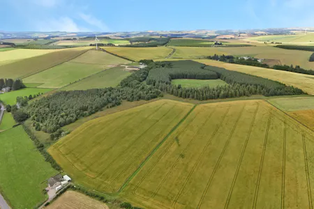 Land at Upper Gariochsford, Upper Gariochsford, Inverurie, Agriculture Land For Sale - Land at Upper Gariochsford-007.JPG