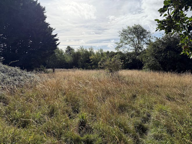 Land to the South West Side of Court Drove, Basingstoke, Residential For Sale - Pic 5  View from within the site looking east