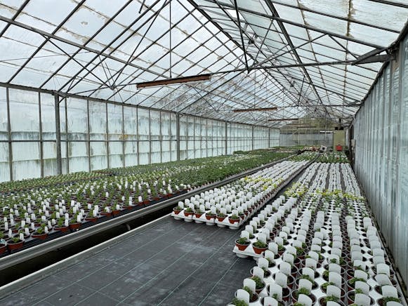 Benston Nursery, Mauchline For Sale - tempImageComM3e.jpg