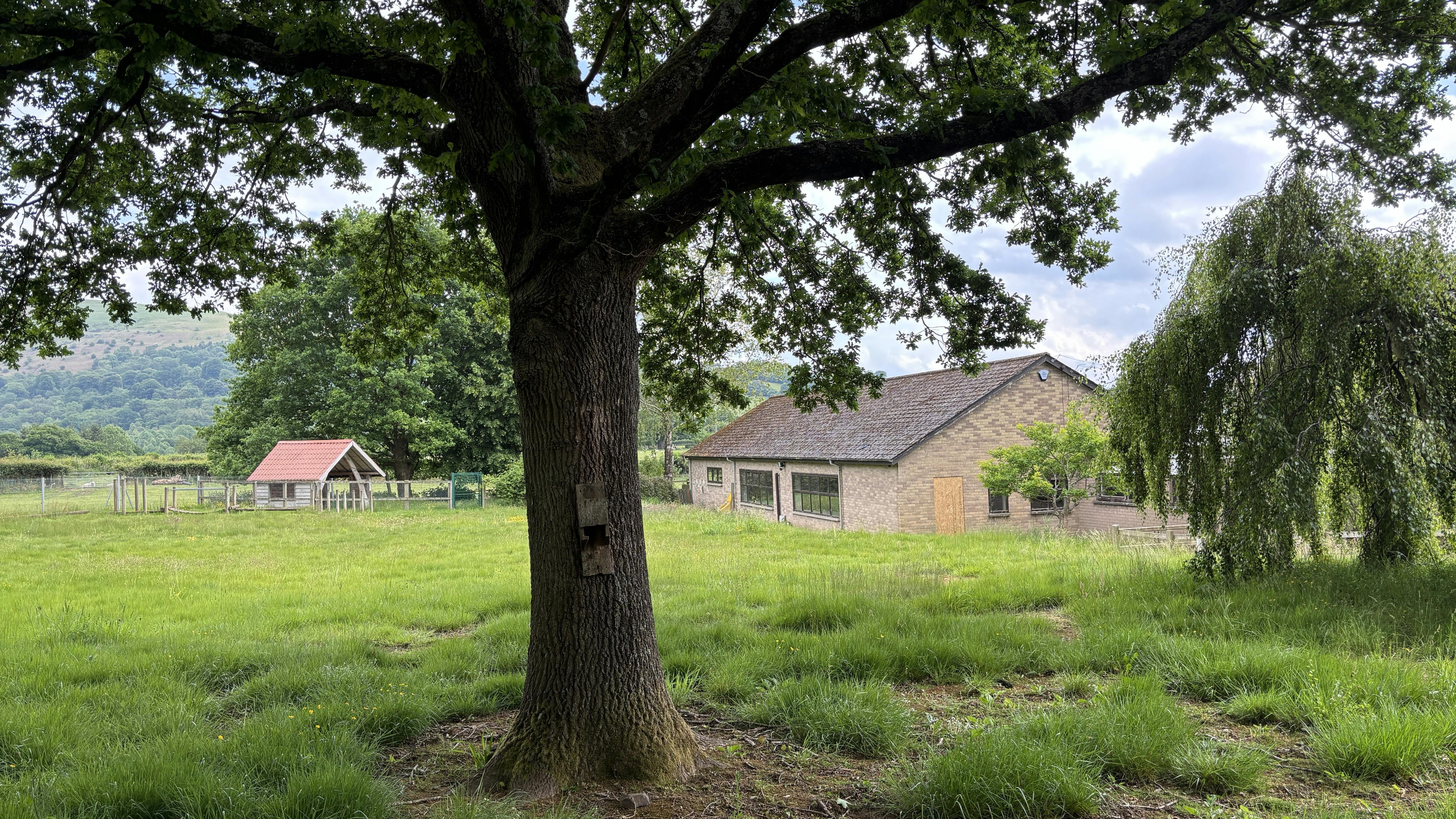Former Llanbedr School, Maes Ffynnon - Ground Floor 1.jpeg