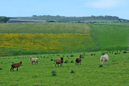 Upper Lynemore, Keith, Agriculture Land / Development / Farm / Farmhouse / Investment / Land / Land (Green Field) For Sale - Image 12