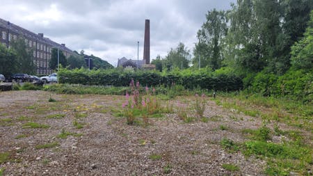 Ettrick Mill and associated Land, Selkirk, Development Site For Sale - WhatsApp Image 2025-06-30 at 11.37.38.jpeg