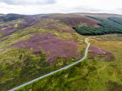 Land by Brodick, Brodick, Agriculture Land / Development / Investment / Land For Sale - Image 7