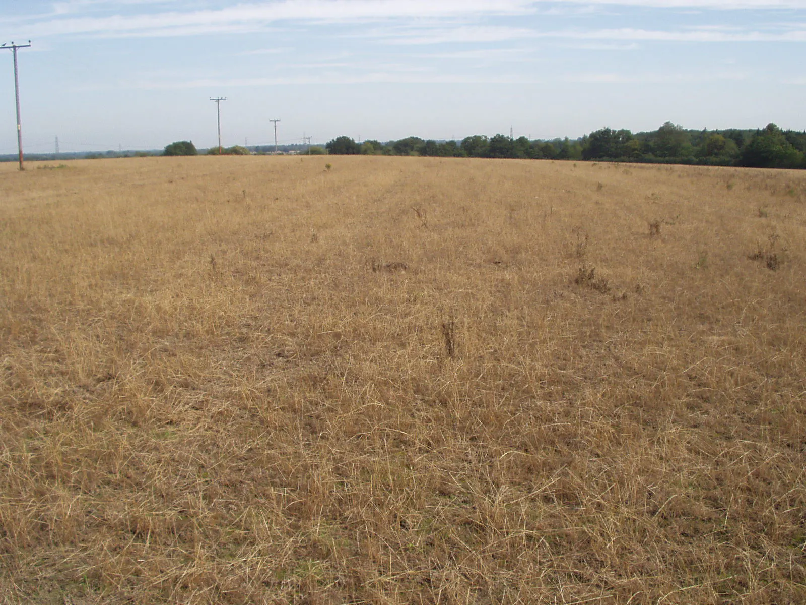 Land West Of Reading Road, Sherfield On Loddon, Development