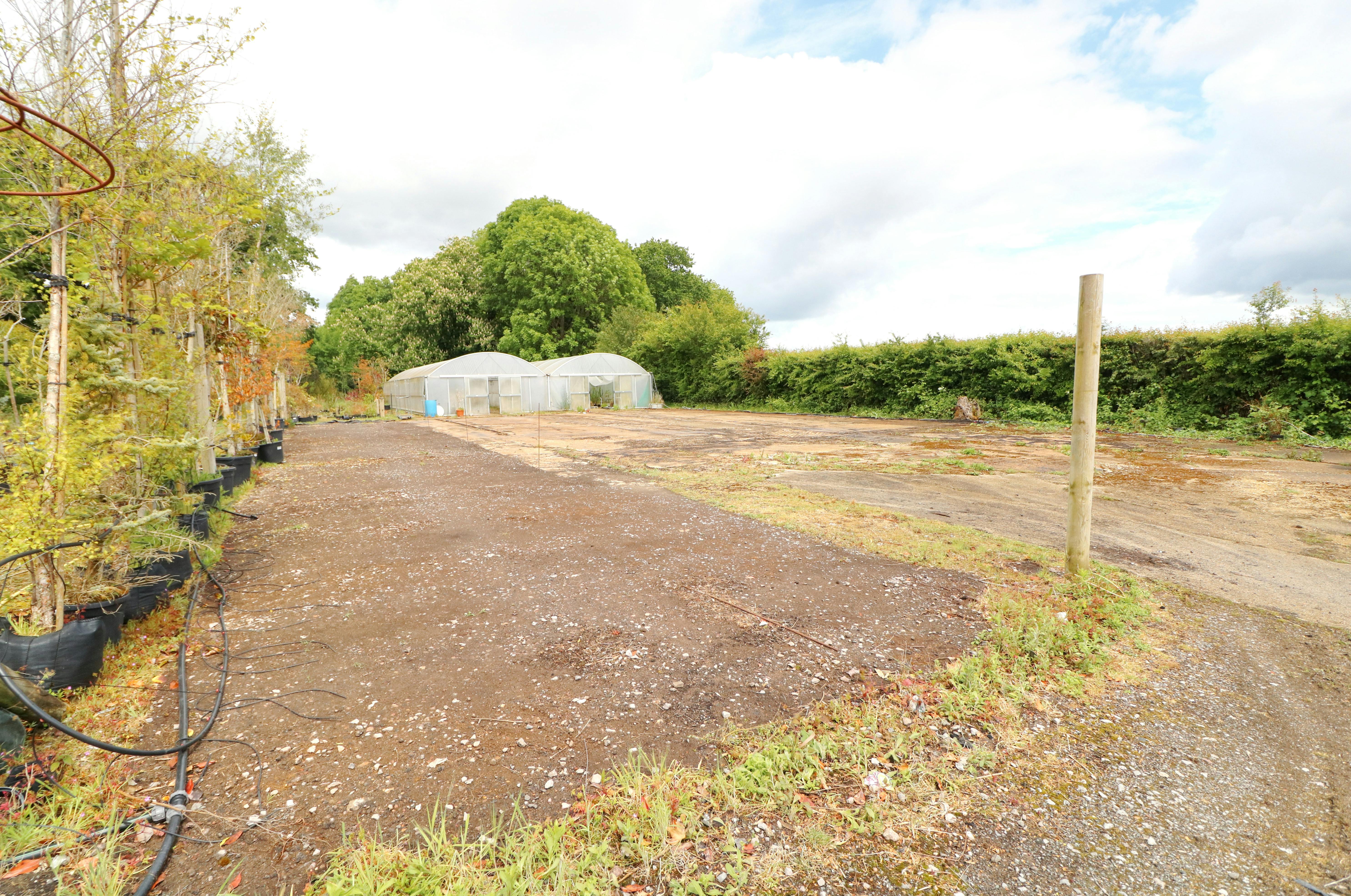 Land at Graintree House, Albourne, Land - Open Storage To Let - Polytunnel Area with access way.jpg