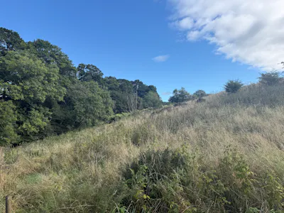 Land by Banton Road, By Banton Mill, Near Kilsyth, Agriculture Land To Let - 20260909_084124068_iOS.jpg