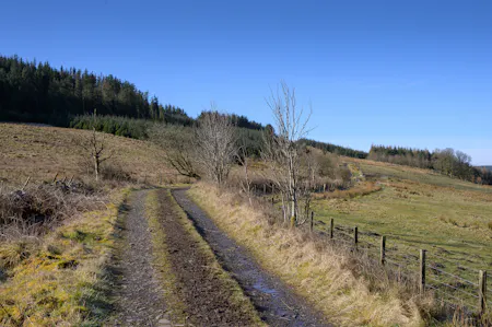 Land at Darrach Hill, Denny, Agriculture Land / Environmental / Farm / Land For Sale - DarrachHill-1.jpg