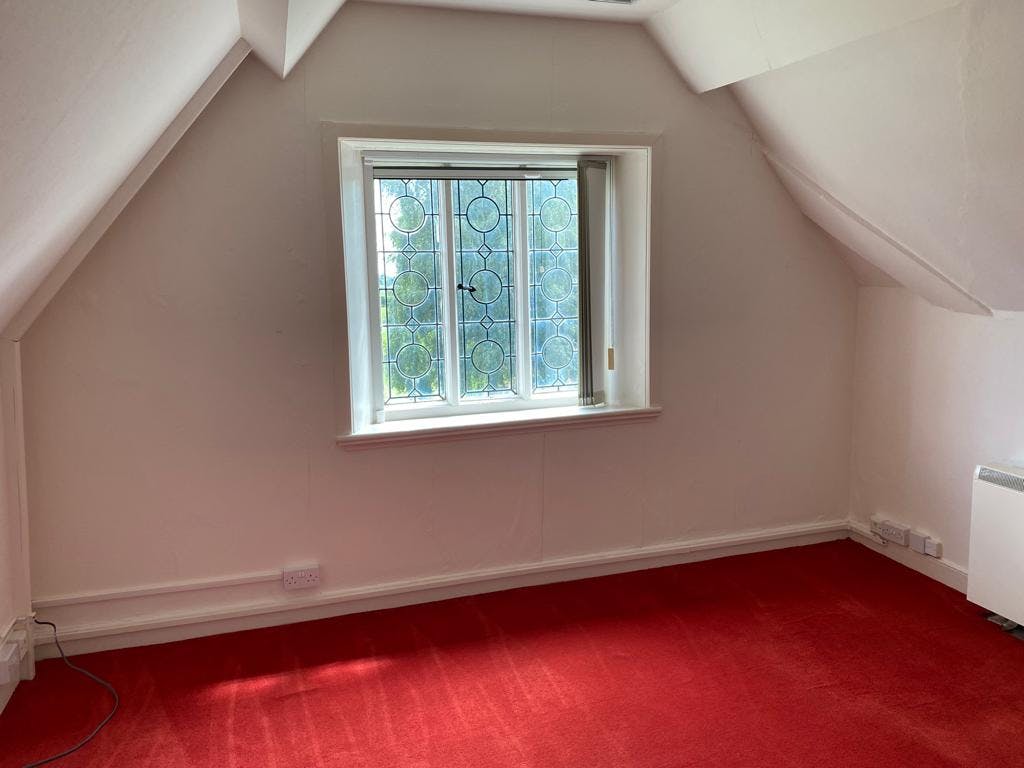 Black Birches - PHOTO20230802151617 8.jpg