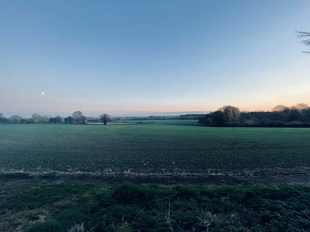 The Cock Inn - Image 1.jpg