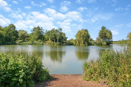 Weybread Lakes and Lodges, Mill Lane, Diss, Caravan Park - Holiday / Leisure For Sale - Carp lake