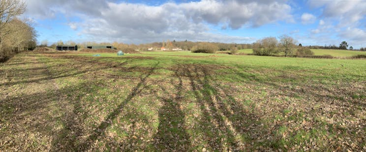 Land South Of Barkham Road, Wokingham, Development / Land / Residential For Sale - Land looking north towards the farm buildings and Barkham Road