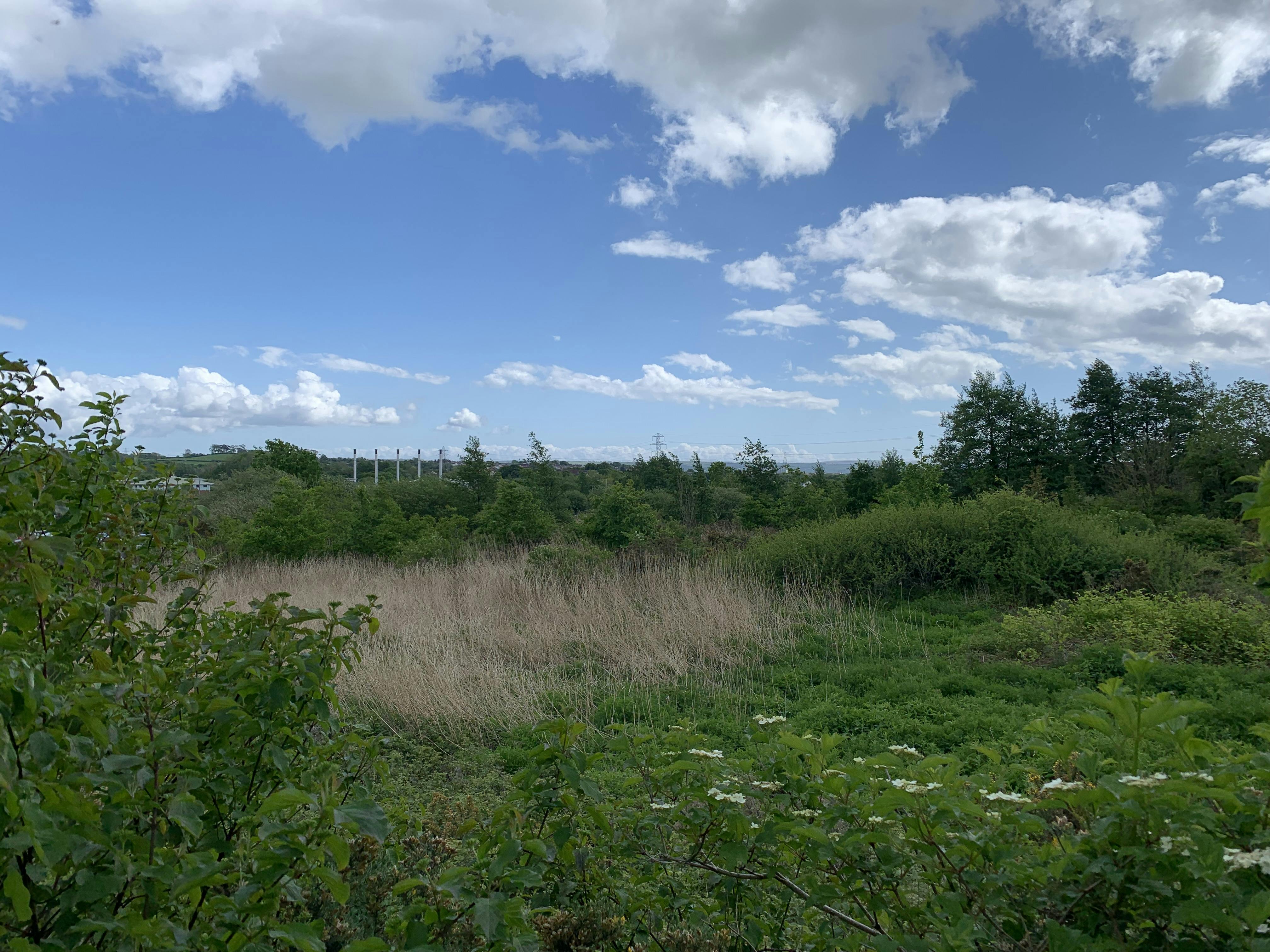 Commercial Land To West Of Gestamp - Photo 4